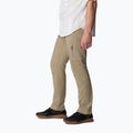 Pantaloni da trekking Columbia Silver Ridge Utility tusk da uomo 3