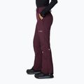 Columbia Roffee Ridge VI pantaloni da sci da donna moonvista 3