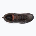 Columbia Woodburn II Waterproof Scarpe da trekking da uomo cordovan/ cannella 15