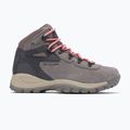 Scarpe da trekking donna Columbia Newton Ridge Plus Wp Amped Stratus/Canyon Rose 10