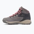 Scarpe da trekking donna Columbia Newton Ridge Plus Wp Amped Stratus/Canyon Rose 11