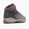 Scarpe da trekking donna Columbia Newton Ridge Plus Wp Amped Stratus/Canyon Rose 12