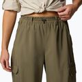 Pantaloni da trekking da donna Columbia Skien Valley Cargo verde pietra 5