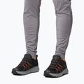 Scarpe da trekking da donna Columbia Peakfreak Roam black/red quartz 10