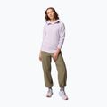 Felpa in pile da donna Columbia Glacial IV 1/2 Zip lavender pearl 2