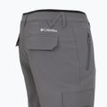 Pantaloni da trekking uomo Columbia Tech Trail Utility Winter city grey 14