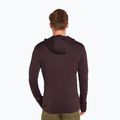 Felpa con cappuccio Icebreaker Merino 260 Quantum IV Zip Uomo agrodolce 3