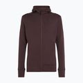 Felpa con cappuccio Icebreaker Merino 260 Quantum IV Zip Uomo agrodolce 11