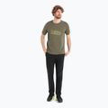Camicia da trekking Icebreaker Tech Lite II Alps 3D loden da uomo 2