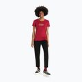 Maglietta da trekking Icebreaker Tech Lite II Mountain Geology da donna cherry 3