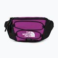 The North Face Jester Marsupio lombare viola/bianco