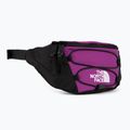 The North Face Jester Marsupio lombare viola/bianco 2