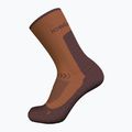 Calze da trekking Icebreaker da uomo Merino Hike+ Light Crew dusty clay/carob 2