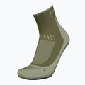 Calze da trekking Icebreaker Merino Hike+ Light Mini loden/lichen per uomo