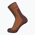 Calze da trekking Icebreaker da donna Merino Hike+ Medium Crew dusty clay/carob 3