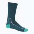 Calze da trekking Icebreaker da donna Hike+ Light Crew verde