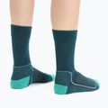 Calze da trekking Icebreaker da donna Hike+ Light Crew verde 4