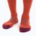 Calze da trekking Icebreaker da donna Hike+ Light Crew rosso 3