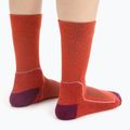 Calze da trekking Icebreaker da donna Hike+ Light Crew rosso 4