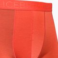 Boxer termici da uomo Icebreaker Anatomica Cool-Lite rosso 3