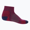 Calze da trekking Icebreaker da uomo Hike+ Light Mini go berry