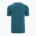 Camicia da trekking Icebreaker Tech Lite II Cadence Paths da uomo, greenglory 7