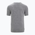 Icebreaker Tech Lite II Nature Sprint maglia da trekking uomo gritstone 7