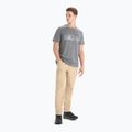 Icebreaker Tech Lite II Nature Sprint maglia da trekking uomo gritstone 2