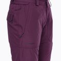 Pantaloni da snowboard da donna Volcom Knox Ins Gore-Tex moro 10