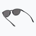 Occhiali da sole Nike Evolution grigio scuro opaco/argento flash 2