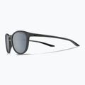 Occhiali da sole Nike Evolution grigio scuro opaco/argento flash 5