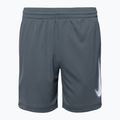 Pantaloncini da bambino Nike Dri-Fit Multi smoke grigio/bianco