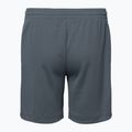 Pantaloncini da bambino Nike Dri-Fit Multi smoke grigio/bianco 2