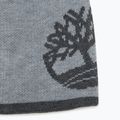 Berretto invernale da uomo Timberland Reversible Logo Beanie grigio chiaro heather 2