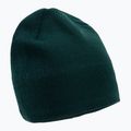 The North Face Bones Cappello invernale verde ponderosa riciclato
