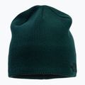The North Face Bones Cappello invernale verde ponderosa riciclato 2