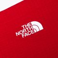 Camino rosso The North Face Fastech 3