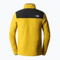 Felpa trekking da uomo The North Face Homesafe Snap Neck Fleece Pullover oro minerale 9