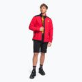 Felpa da trekking da uomo The North Face Alpine Polartec 200 FZ tnf rosso/nero 2
