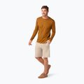 Smartwool Classic All-Season Merino Baselayer Thermal Longsleeve da uomo in scatola fox brown