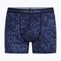 Boxer termici da uomo Icebreaker Merino 150 Anatomica Moss Bloom midnight navy/aop