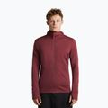 Felpa da uomo Icebreaker Merino 260 Quantum IV LS Zip Hoodie port/agate