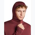 Felpa da uomo Icebreaker Merino 260 Quantum IV LS Zip Hoodie port/agate 6