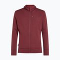 Felpa da uomo Icebreaker Merino 260 Quantum IV LS Zip Hoodie port/agate 10