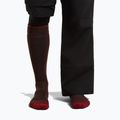 Calze da sci da uomo icebreaker Merino Ski+ Medium OTC bittersweet/port/black 3