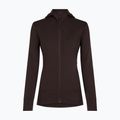 Felpa donna Icebreaker Merino 260 Quantum IV LS Zip Hoodie bittersweet 9
