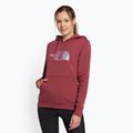 Felpa con cappuccio The North Face Drew Peak Donna, zenzero selvaggio