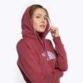 Felpa con cappuccio The North Face Drew Peak Donna, zenzero selvaggio 5