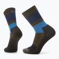 Calzini da trekking Smartwool Everyday Blocked Stripe Crew verde-blu SW001940D11 4