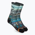Calze da trekking donna Smartwool Hike Light Cushion Icy Range Print Crew colorate SW001988150